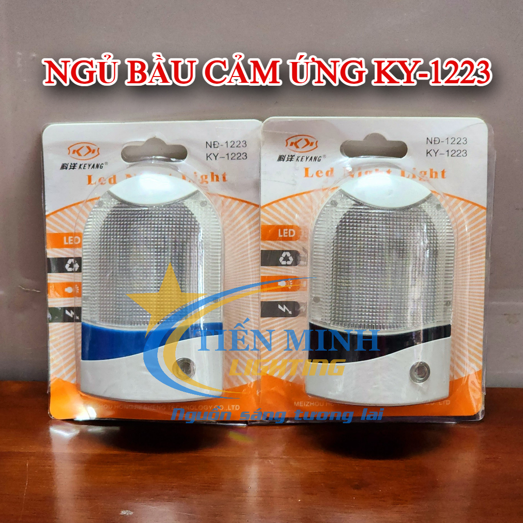 Đèn ngủ cảm ứng bầu KY-1223, chỉ cần cắm vào ổ điện, đèn sẽ tự động phát sáng khi trời tối và tắt khi trời sáng, chiếu sáng Led siêu bền