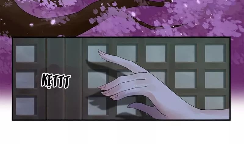 phượng hoàng chapter 8 28