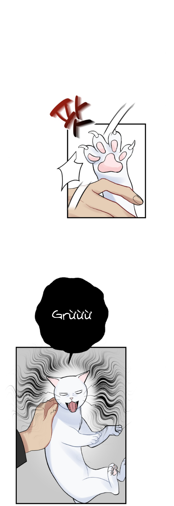 [18+] chuyện mèo trắng bị ba tước báo đen ăn thịt chapter 4.1 10