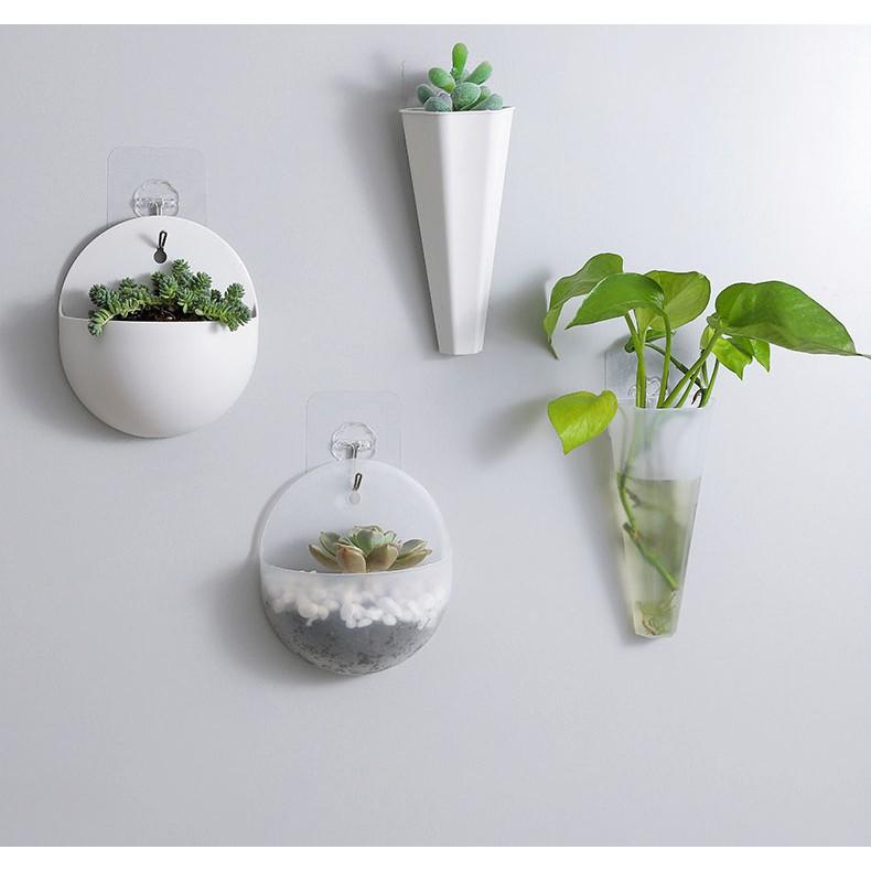 Chậu nhựa trồng cây treo tường trong nhà
