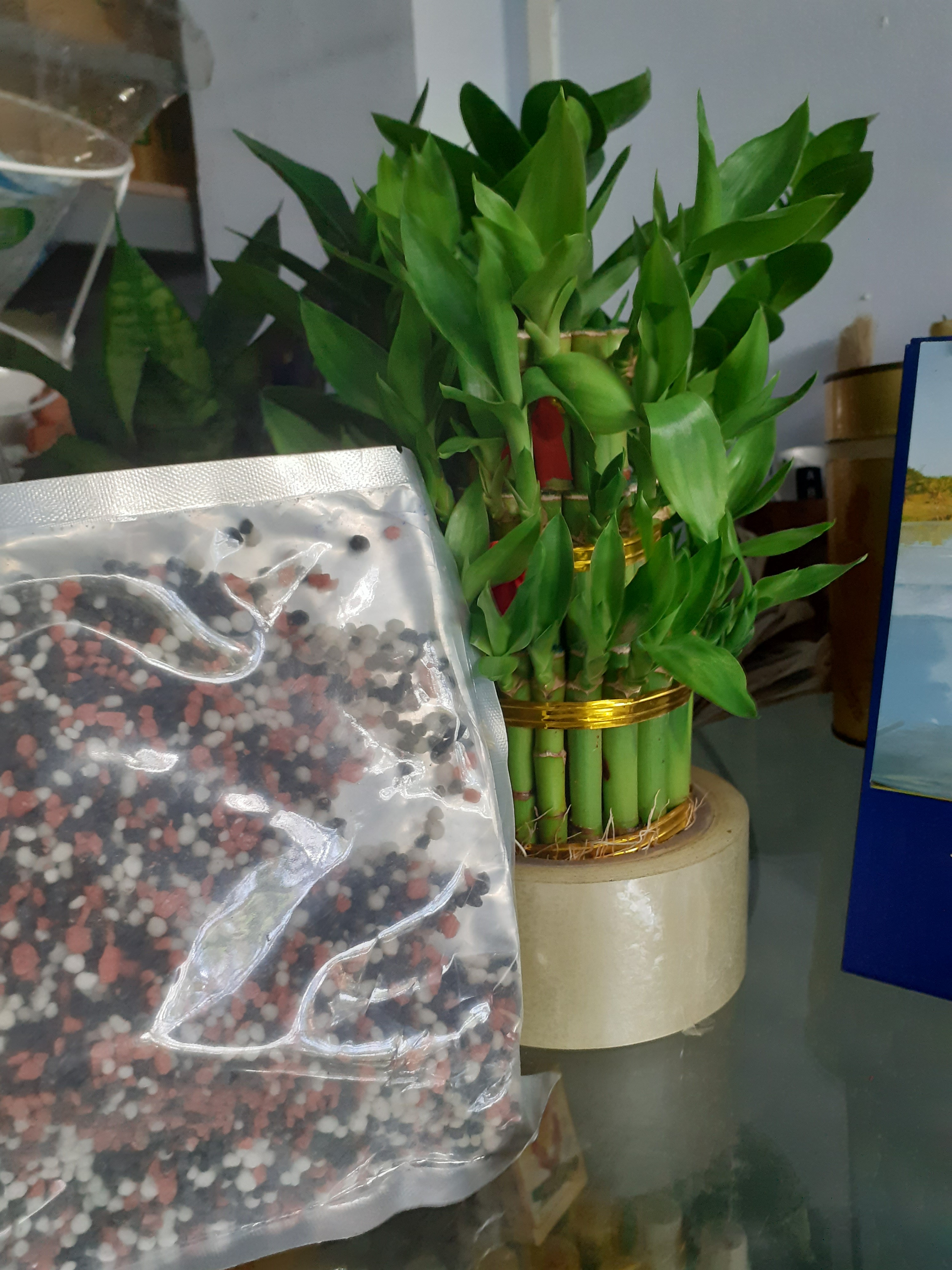 BỊCH 1 KÝ phân bón npk 20-20-15-TE