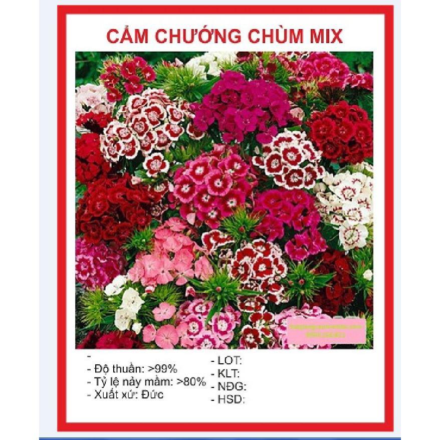 Combo 5 gói hạt giống hoa – 5 loại hoa dễ trồng – tặng 1 gói kích mầm