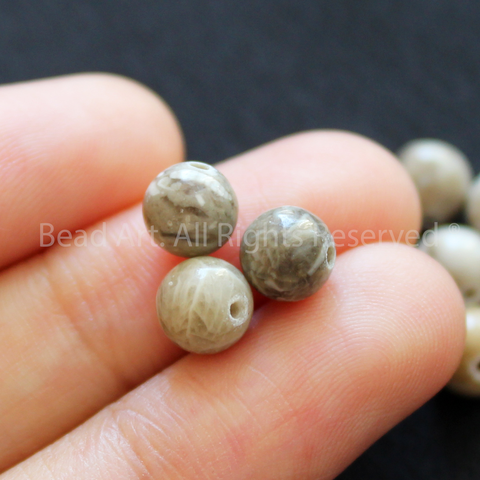 6MM Đá San Hô Hoá Thạch, Fossil Coral Tự Nhiên Loại A, Vòng Tay Phong Thuỷ, Chuỗi Hạt. Tông Xám Vàng - Bead Art