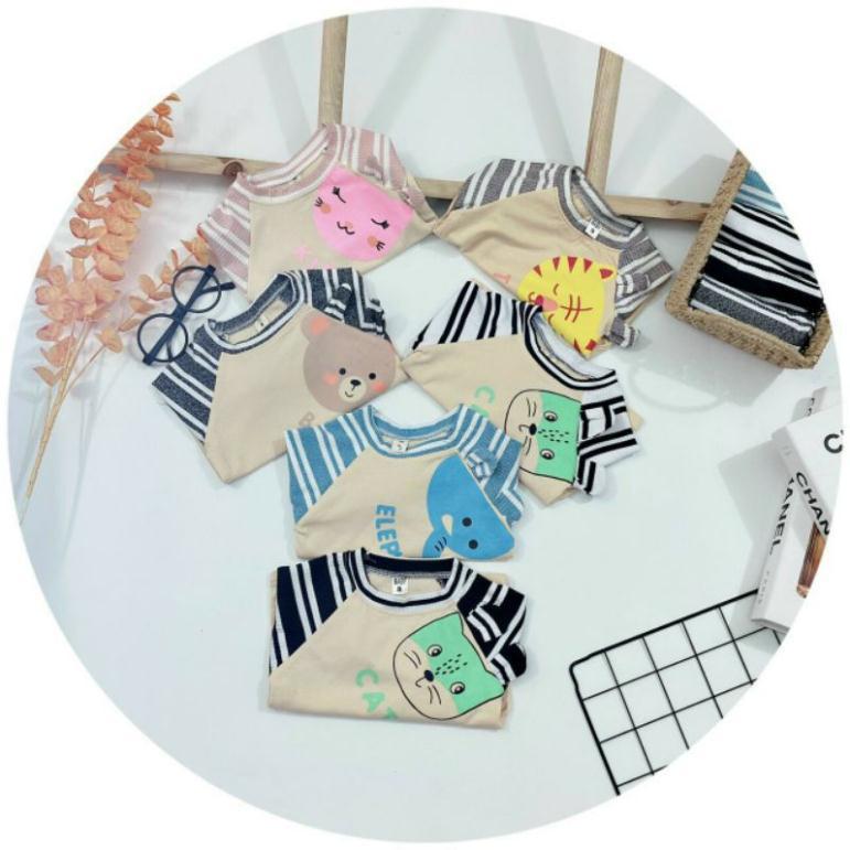 Bộ len tăm phối cotton cho bé 6-14kg