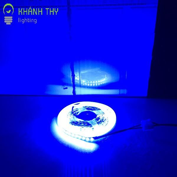 Led dây 12v 2835 ánh sáng màu đỏ, màu hồng, xanh dương, xanh lá có keo