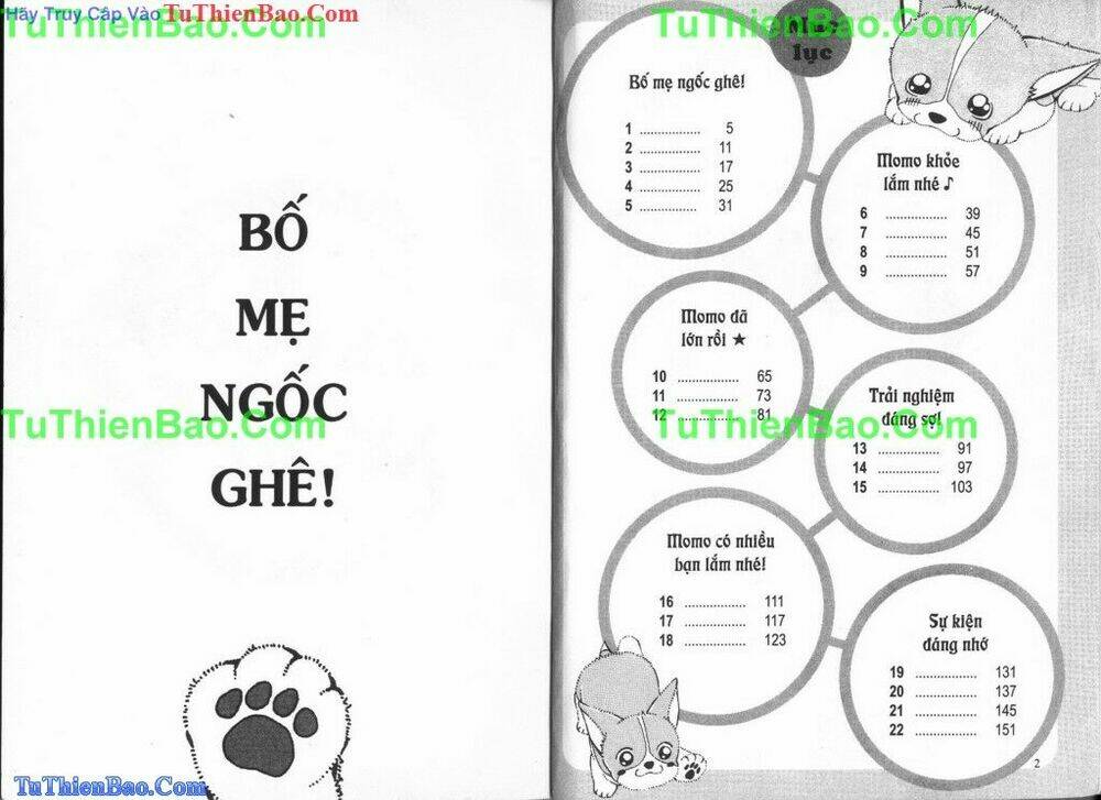 chó con mo mo chapter 6 2