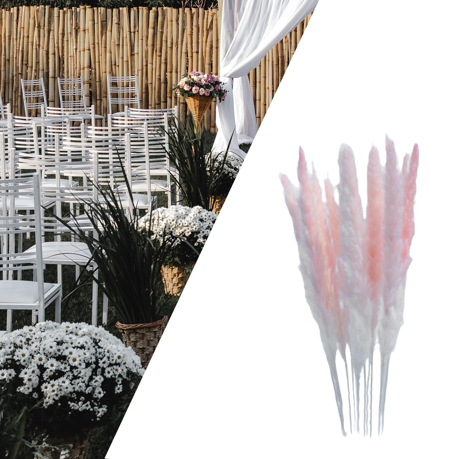 Natural Dried Pampas Grass Boho Home Decor Flower Arrangement Dried Reed Phragmites Decoration