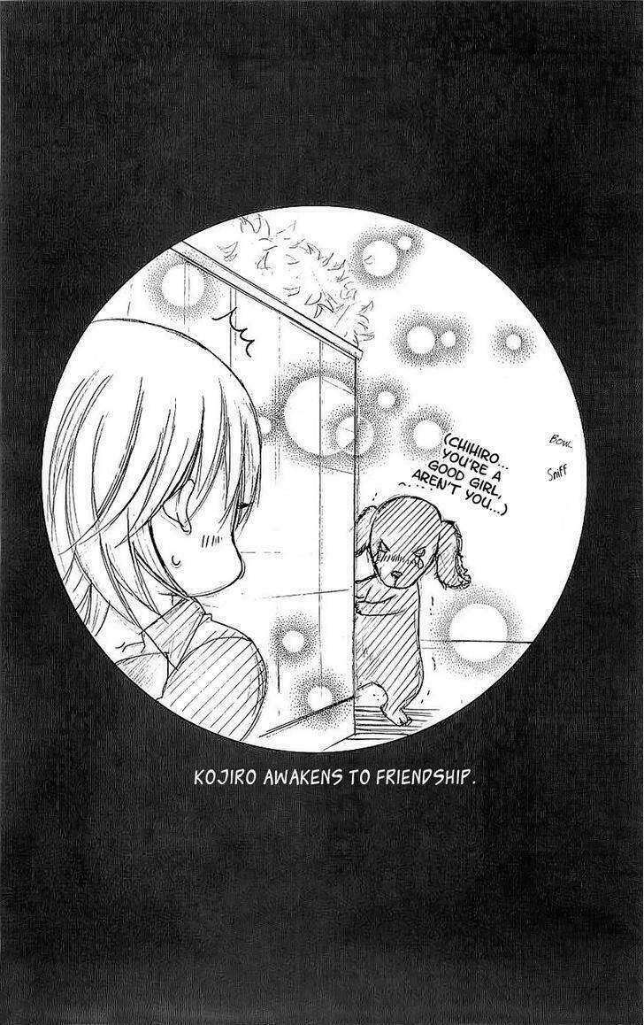 suki desu suzuki-kun!! chapter 39 34