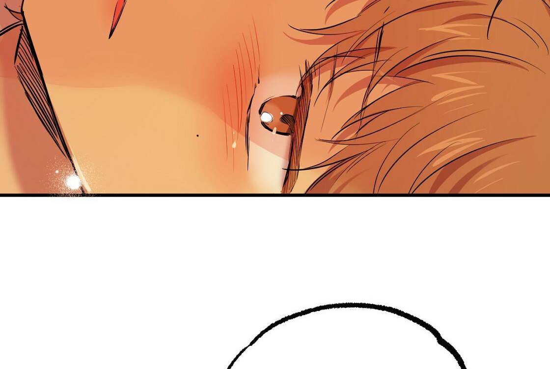 đàn thỏ của habibi chapter 24 169