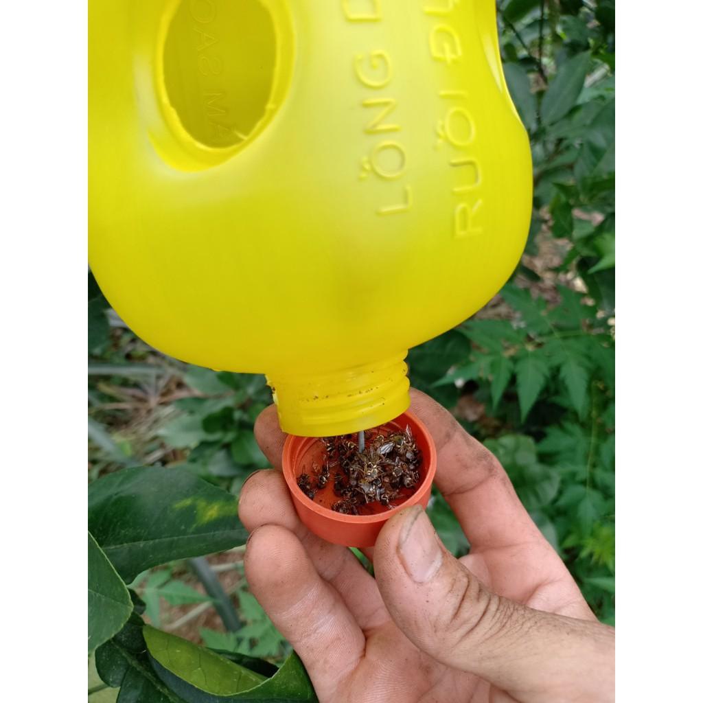 5 Bẫy Diệt Ruồi Vàng - dễ sử dụng hiệu quả nhanh tái sử dụng nhiều lần