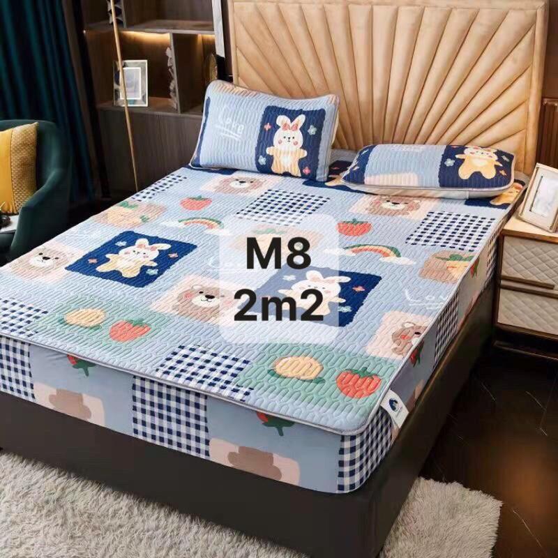 Chiếu cao su non bo chun 1m8x2m kèm 2 vỏ gối nằm