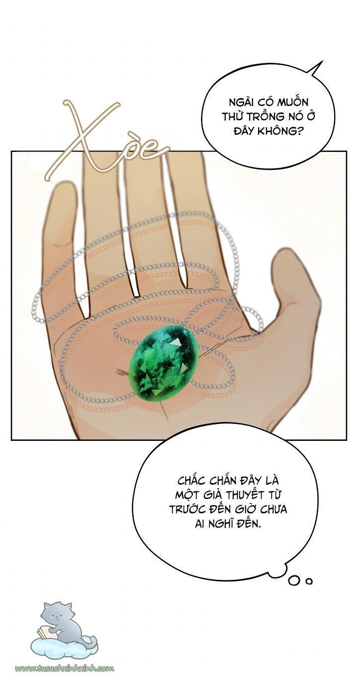 trang trại hạt dẻ cạnh hoàng cung chapter 23 78