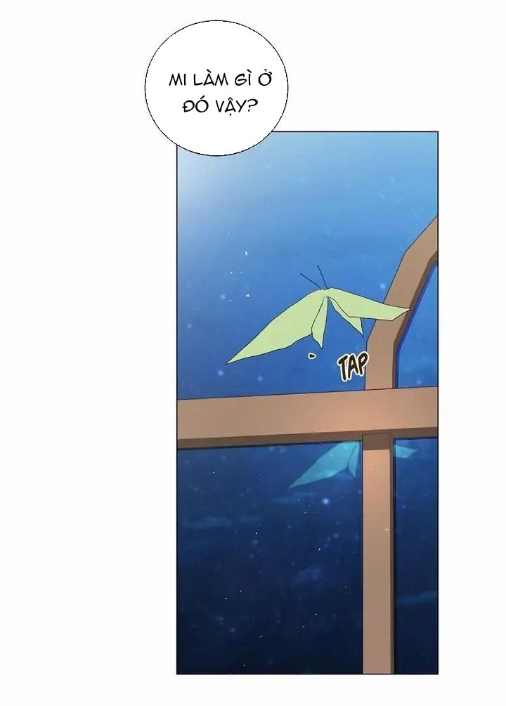 tôi là fan cứng hoàng tử chapter 54.1 19