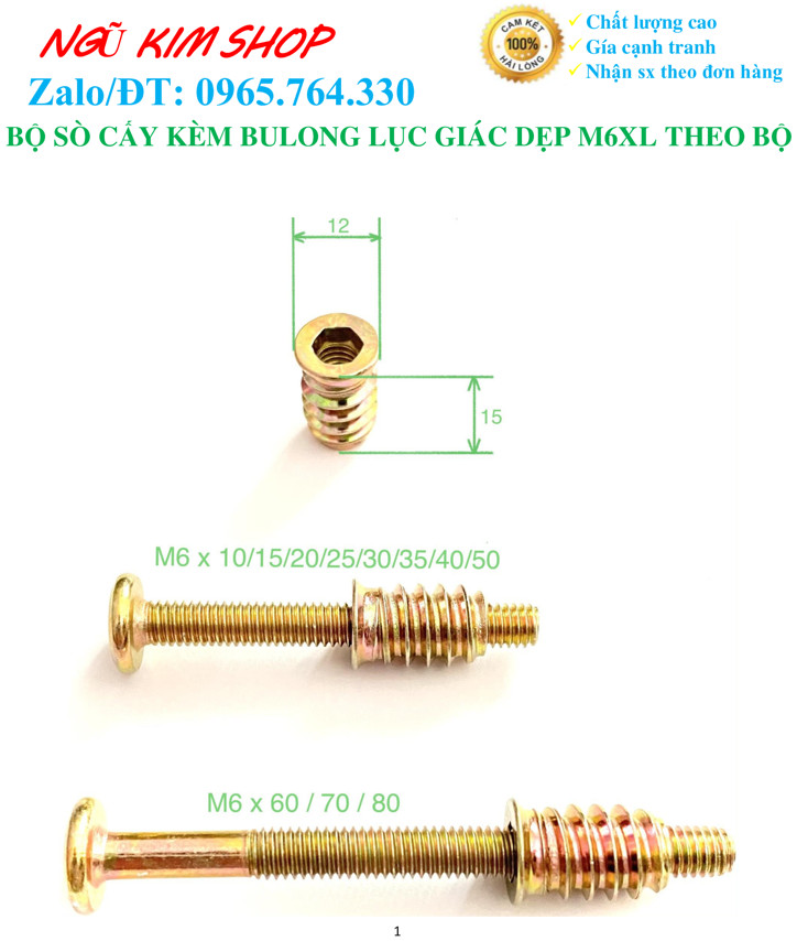 SÒ CẤY KÈM BULONG LỤC GIÁC DẸP M6 x L THEO BỘ
