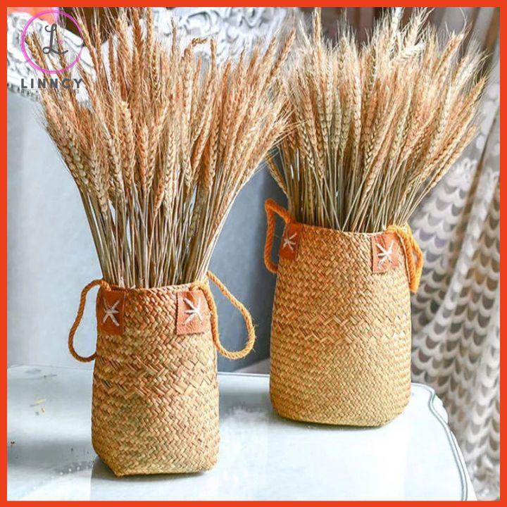 Bó 100 bông lúa mạch-hoa khô trang trí nhà cửa, văn phòng, làm đồ handmade