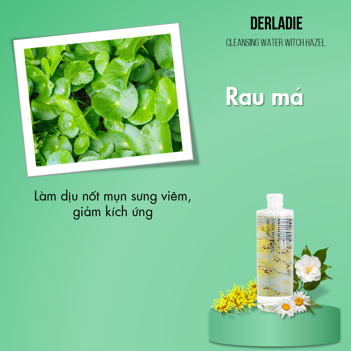 Nước Tẩy Trang Làm Sạch Da, Kháng Khuẩn Derladie Cleansing Water Witch Hazel 500ml