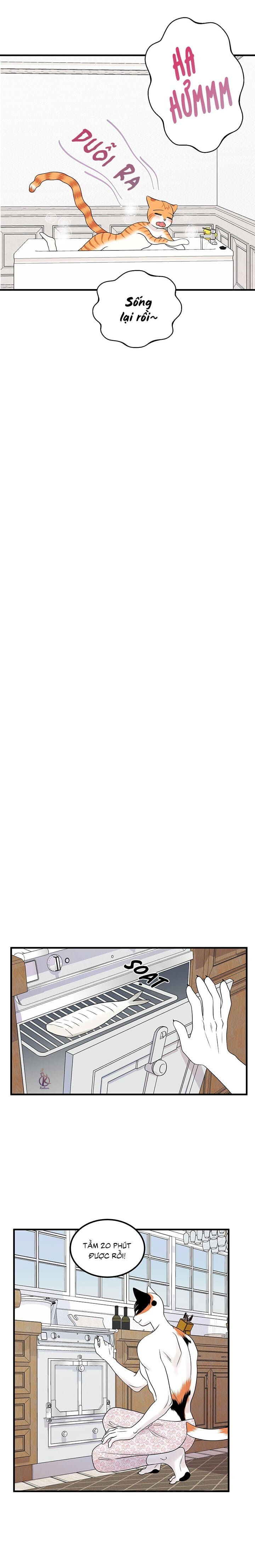 dự án xanh chapter 37 3