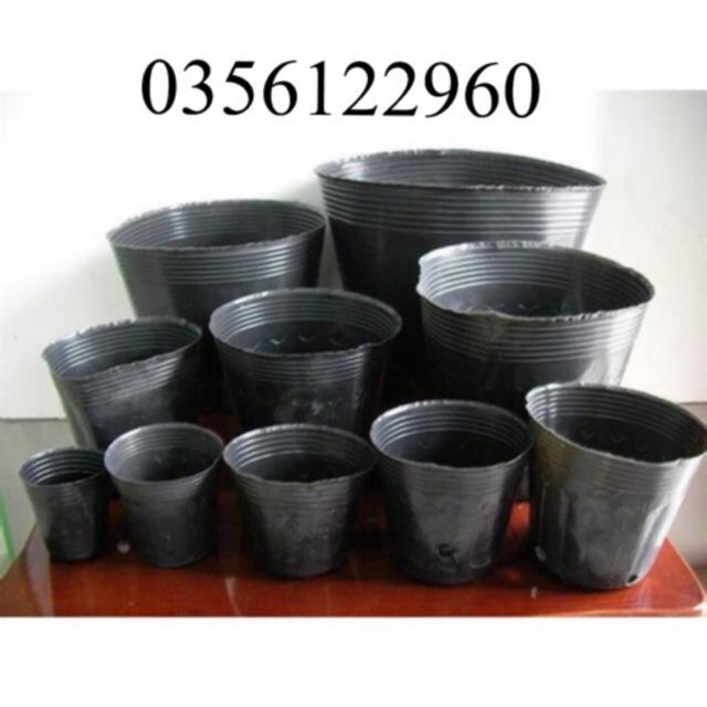 1kg túi bầu ươm cây nhựa dẻo size tuỳ chọn loại 1