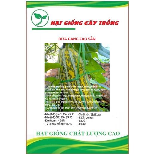 Hạt giống dưa gang cao sản F1 CT81 - Gói 20 hạt