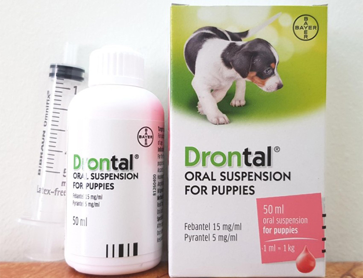 Thuốc Tẩy Giun Sán Cho Chó Con Drontal Puppy Bayer (50ml)