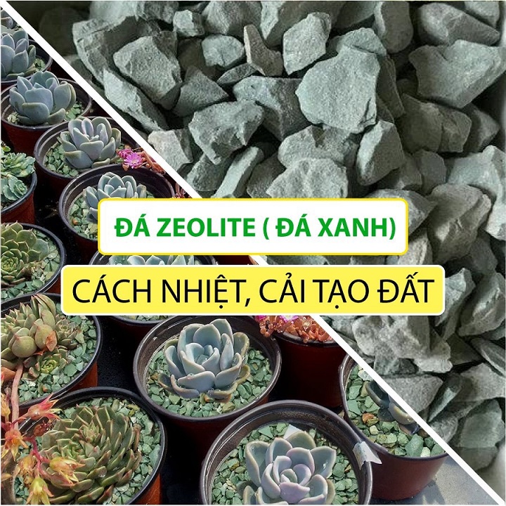 200Gr - Đá Trồng Sen Đá Zeolite giữ nước, giữ ẩm và giữ phân bón mang dinh dưỡng cho bộ rễ