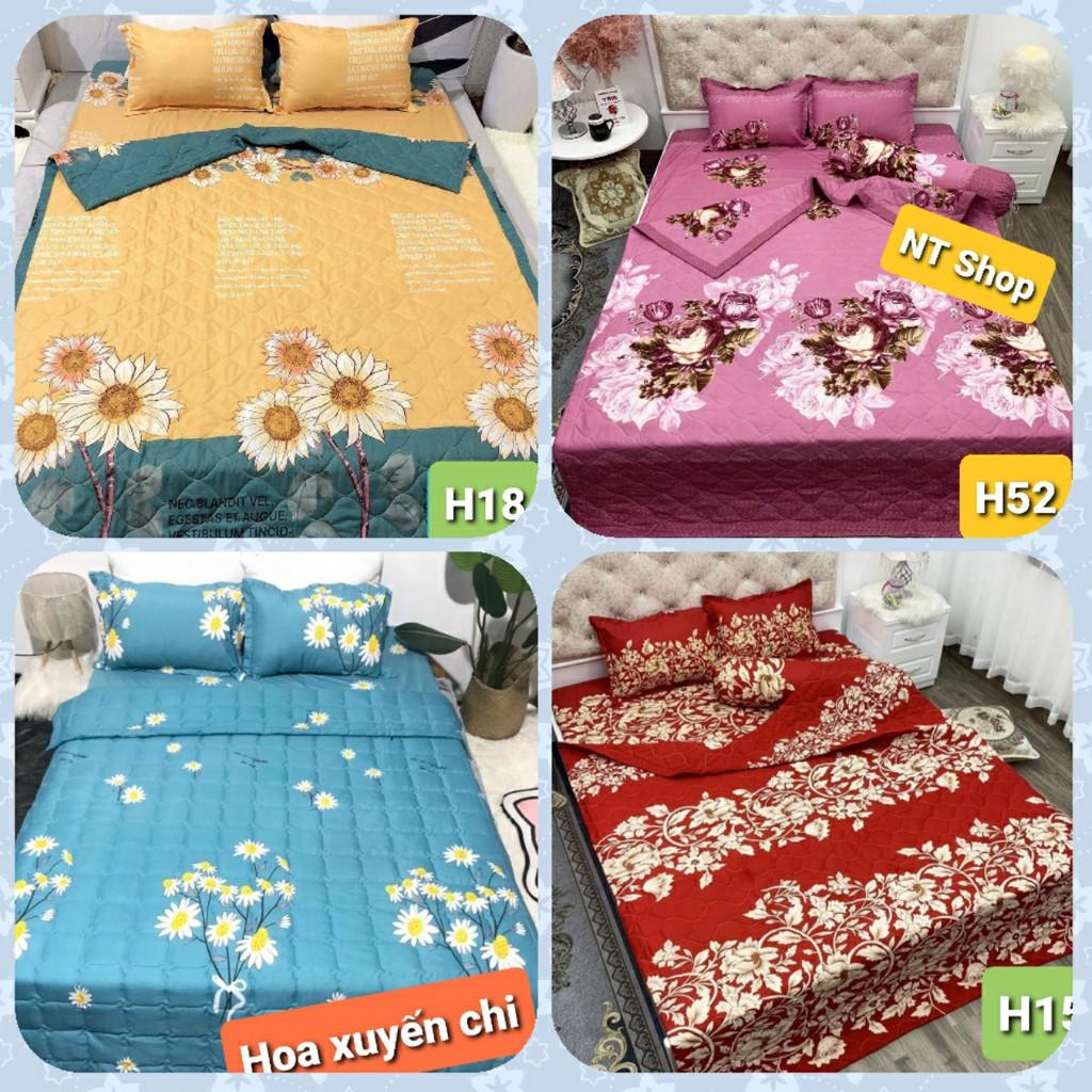 Set 5 Món ga chun 2 vỏ gối đầu ,chăn hè cotton mẫu khủng long bơ