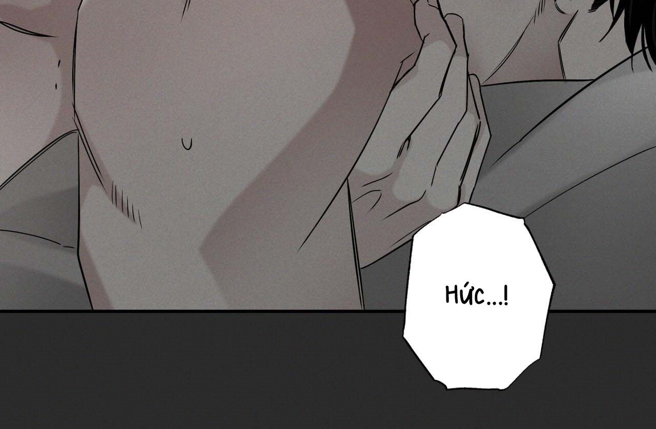 chàng giao pizza và gold palace chapter 41 75