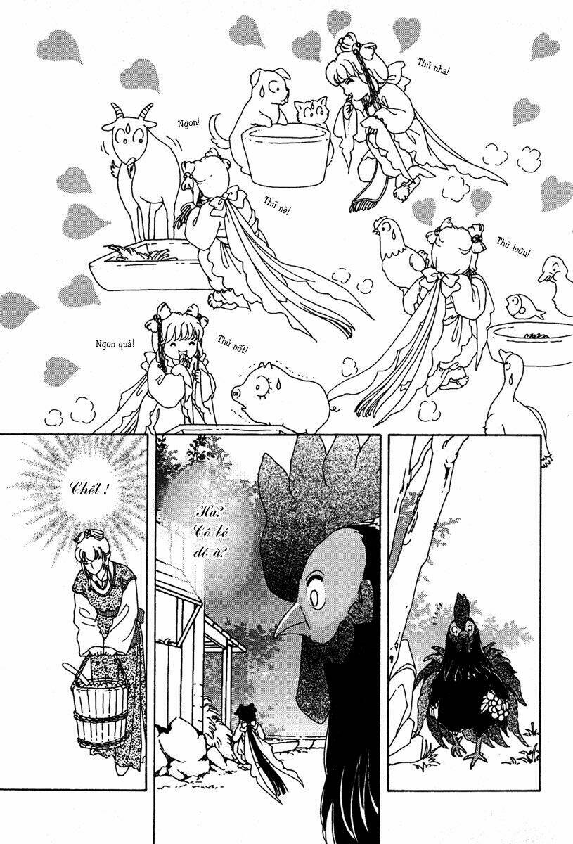 bird of youth chapter 6 27