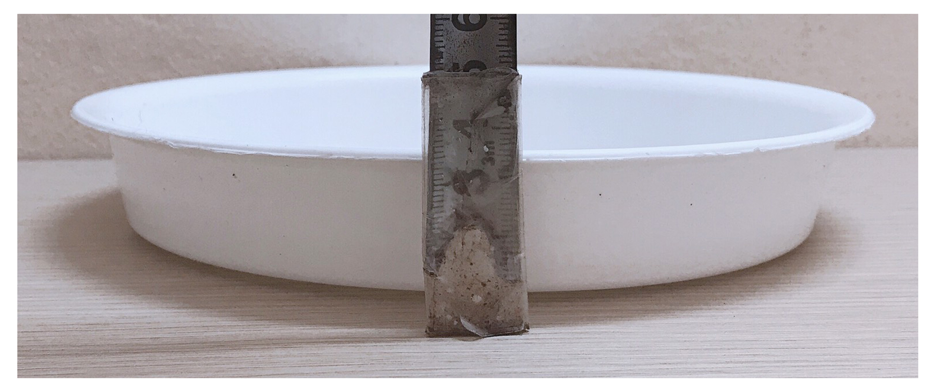 5 Khay Lót Đế Chậu D200 - Màu Trắng