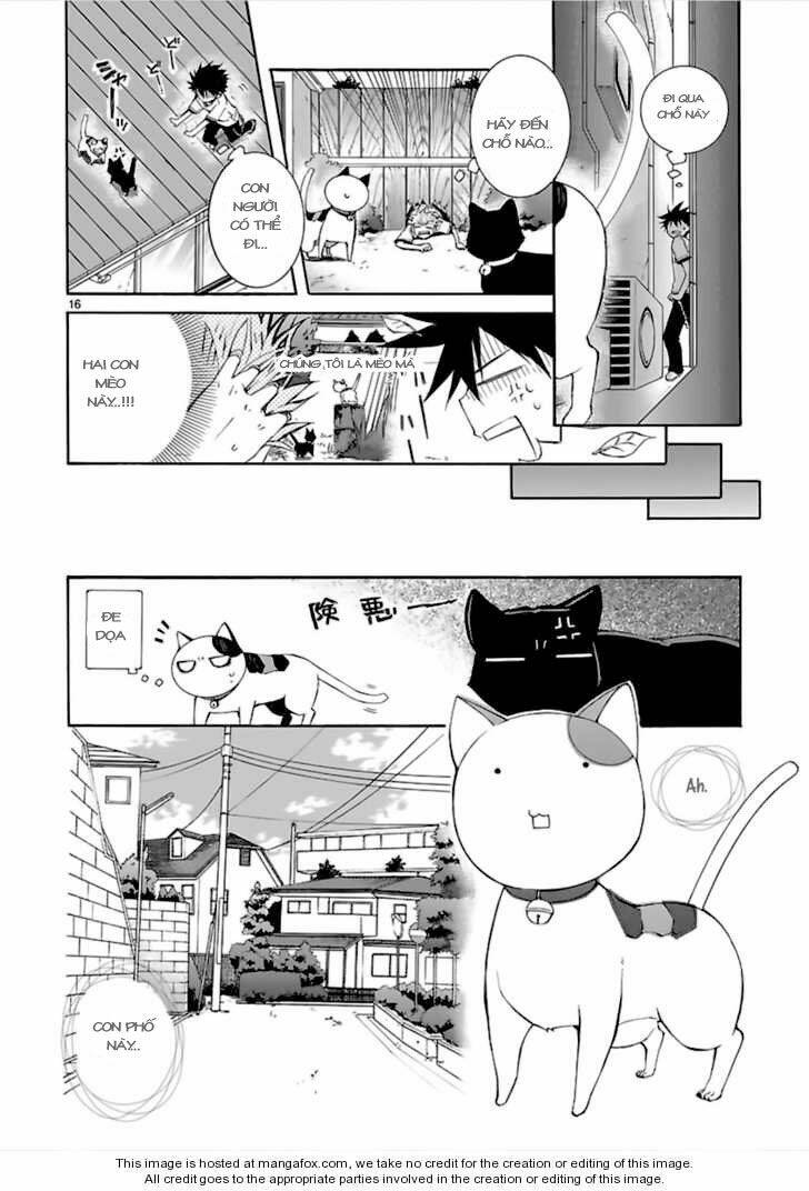 nyankoi! chapter 13 17