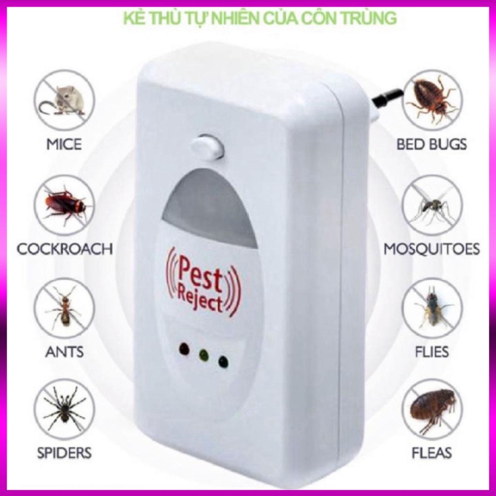 Thiết Bị Đuổi Côn Trùng Pest Reject - Máy Đuổi Chuột, Gián, Muỗi, Ruồi, Kiến, Mối