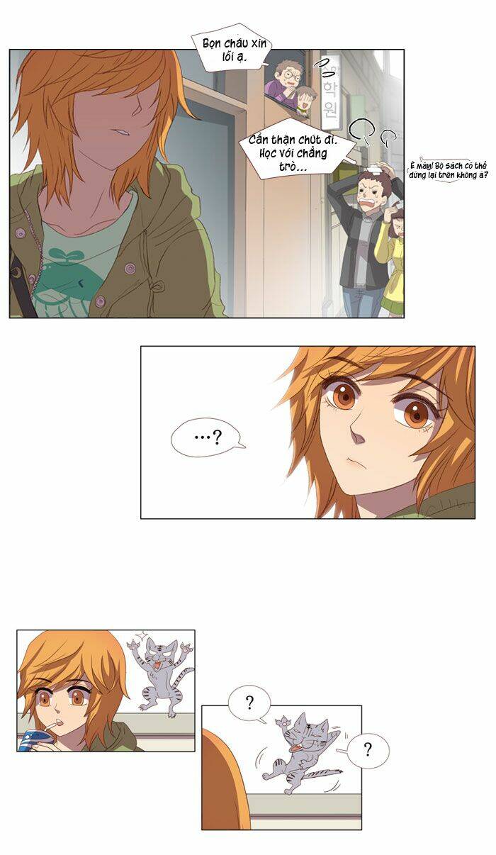 pinocchio chapter 4 19