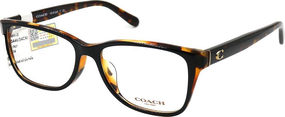Gọng kính chính hãng Coach HC6129F