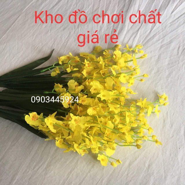 Cành Lan Vũ Nữ
