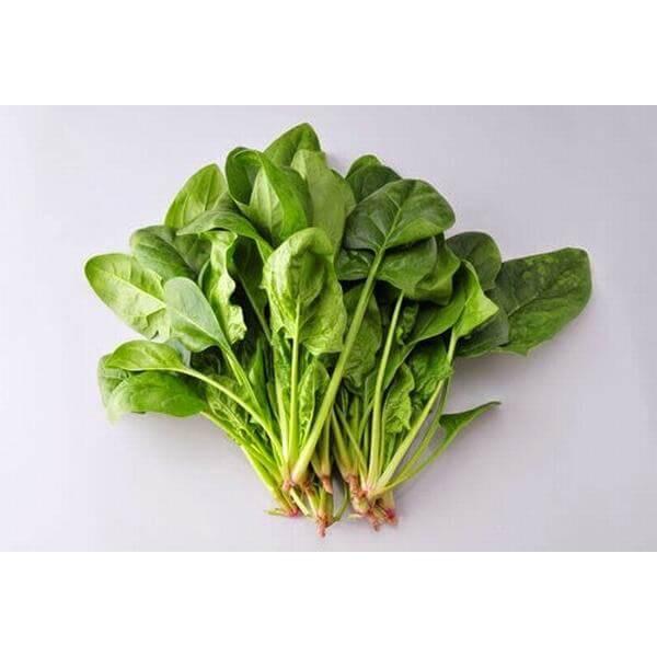 Hạt giống cải bó xôi - 20g