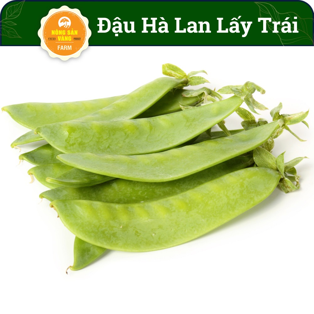 Hạt giống Đậu Hà Lan Xanh ( Gói 10 Gram ) - Nông Sản Vàng