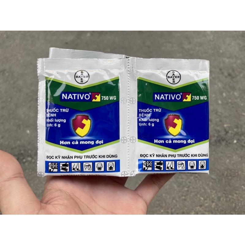 NATIVO 750W phòng trừ bệnh cho cây trồng thán thư đạo ôn, rỉ sắt, đốm lá, vàng lá