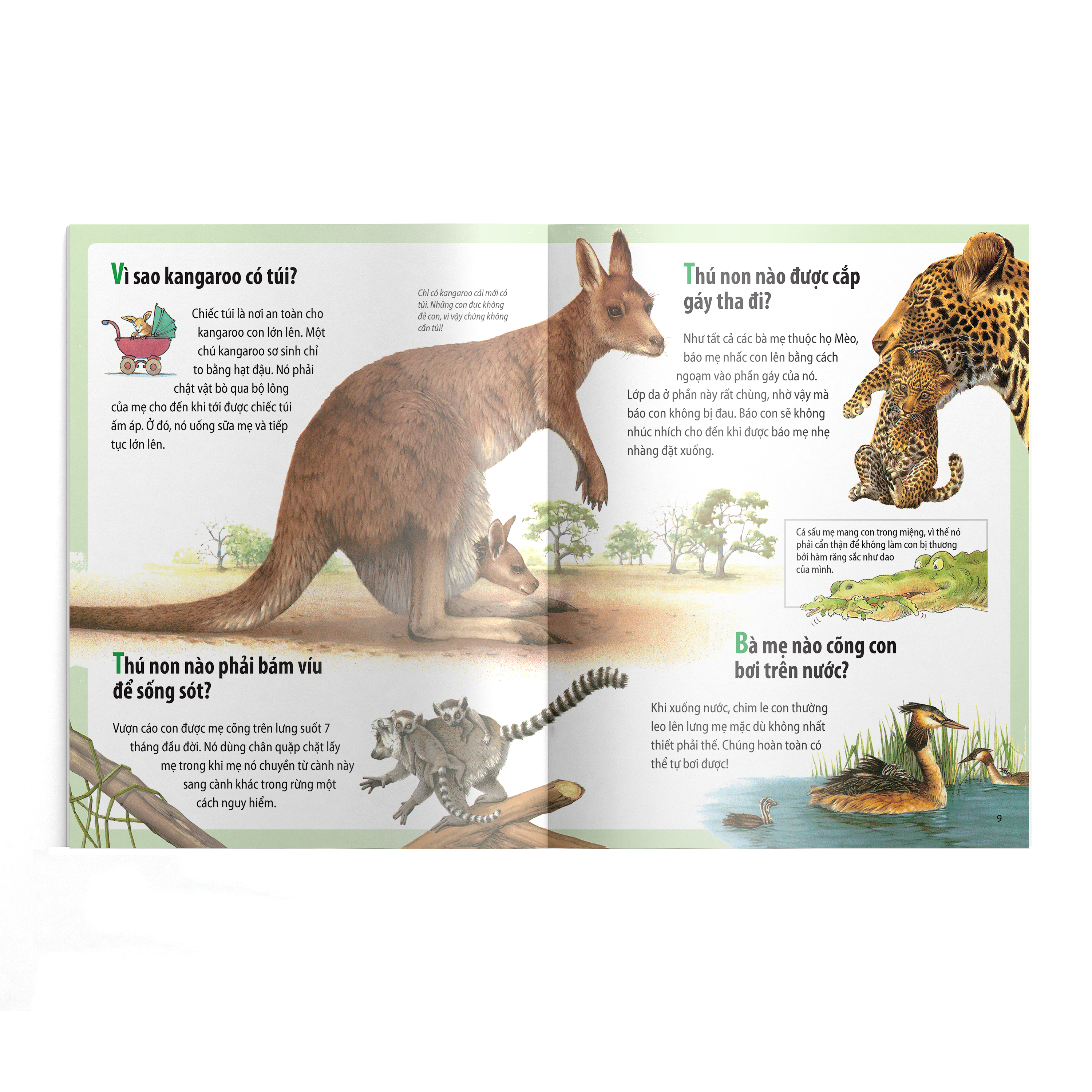 Em muốn biết vì sao (Bộ mới) - Kangaroo có túi và những câu hỏi khác về con non