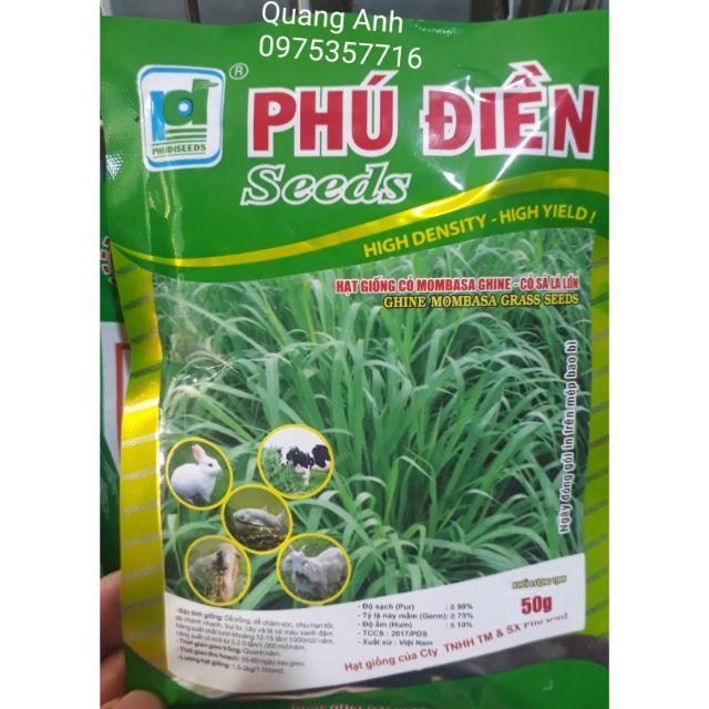 HẠT GIỐNG CỎ MOMBASA GHINE-CỎ SẢ LÁ LỚN - GÓI 50GR