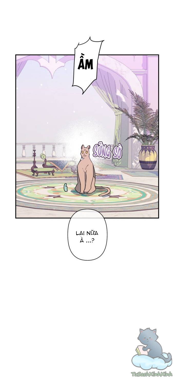 tôi đang nuôi dưỡng một con quái thú chapter 37 20