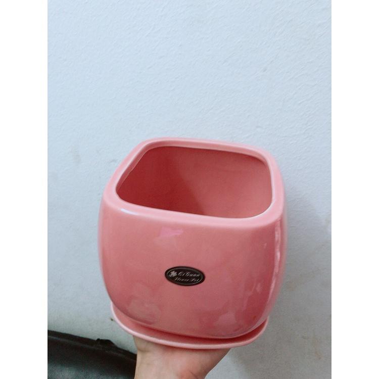 Chậu Trồng Cây