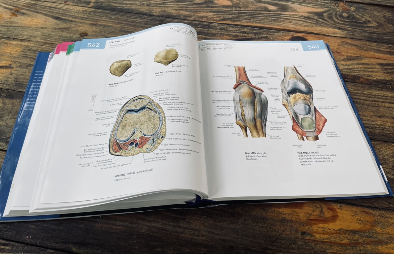 Bìa cứng, in màu toàn bộ _ SOBOTTA A.TLAS GIẢI PHẪU NGƯỜI (PHIÊN BẢN THỨ 14)– Johannes Sobotta- Đông A- NXB Dân Trí