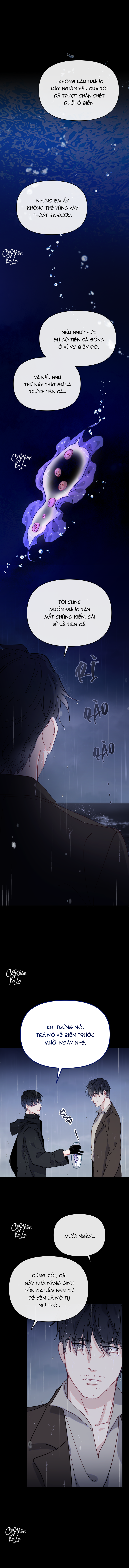 chàng tiên cá trên cạn chapter 1 12