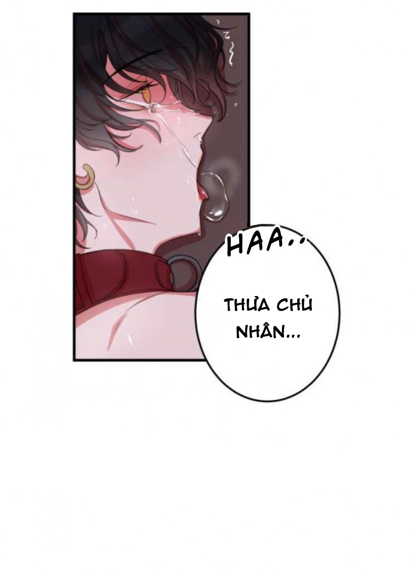 xu hướng tình dục bạn học chapter 4 25