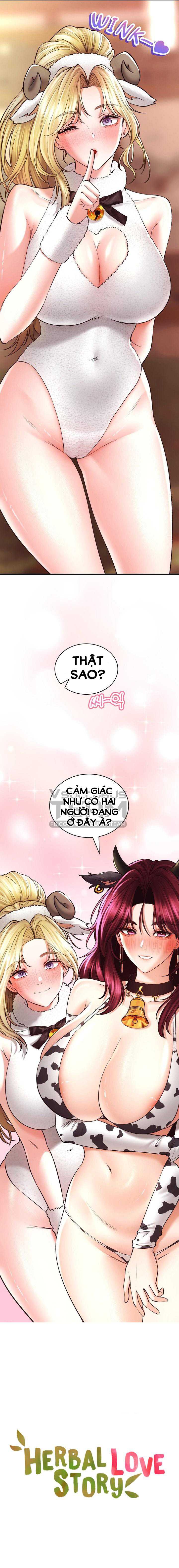 thảo dược mê tình chapter 38 20