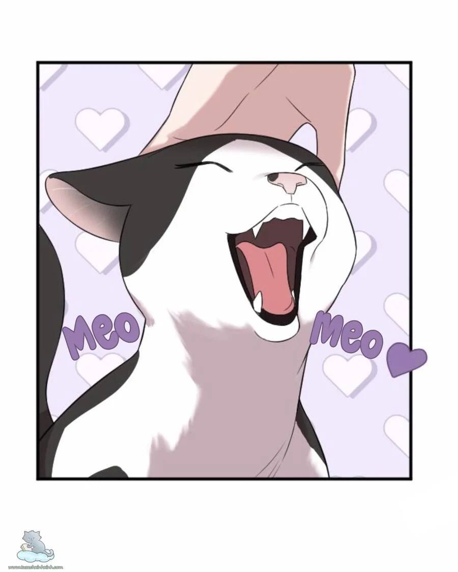 cô đi mà lấy chồng tôi chapter 31 102