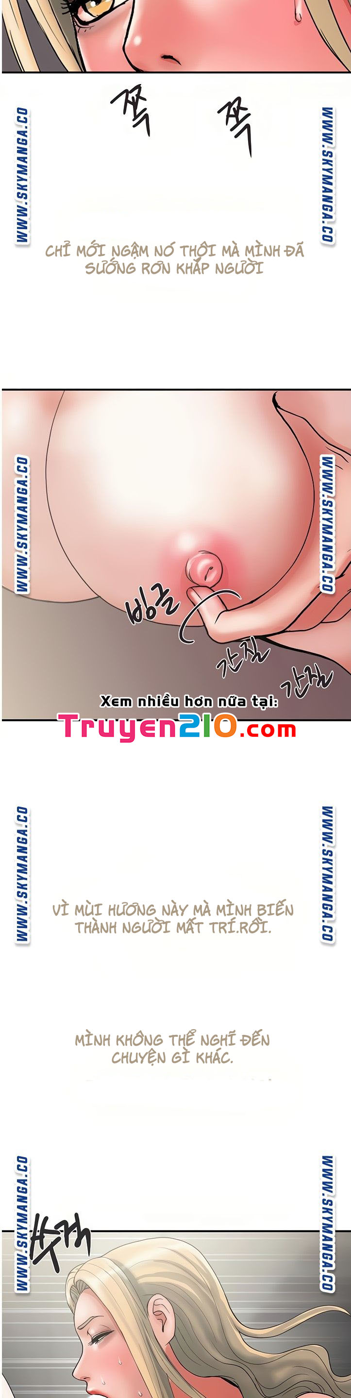 chất dẫn dục chapter 11 16