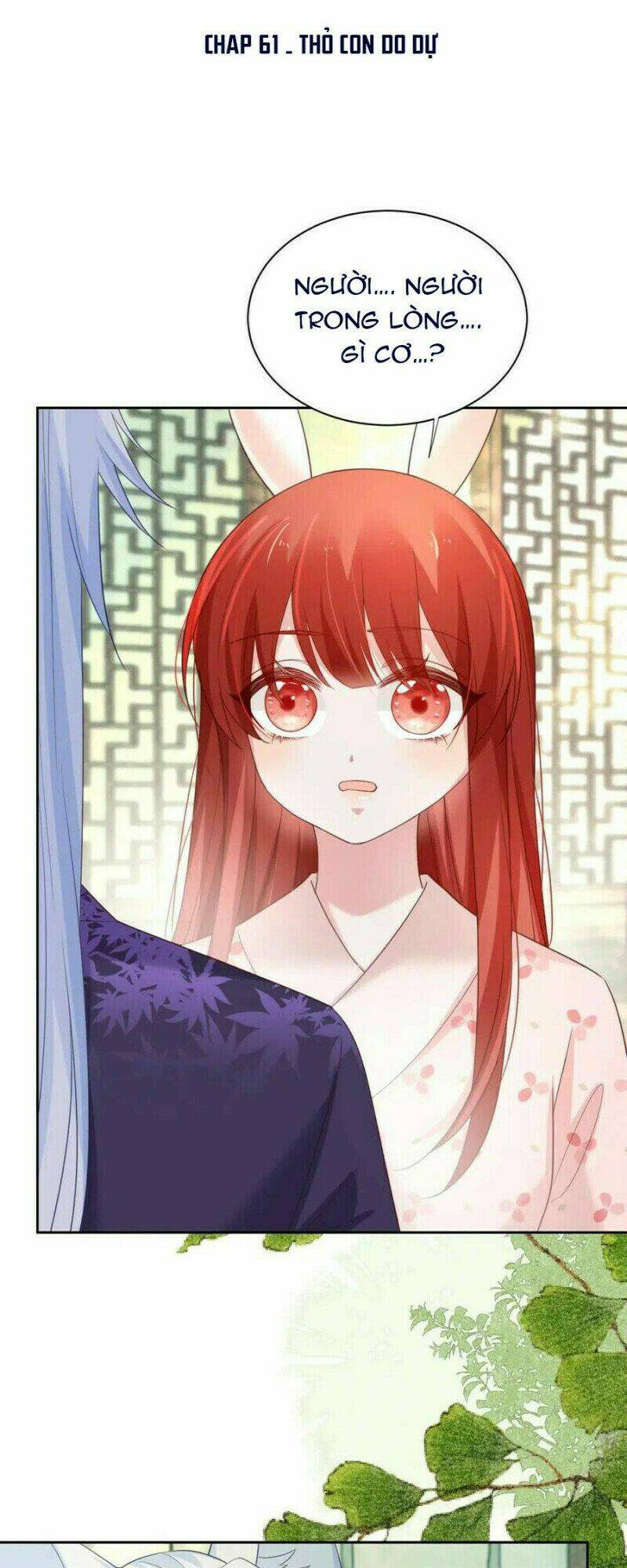 hắc hóa nam chính trực tuyến nuôi thỏ chapter 61 1