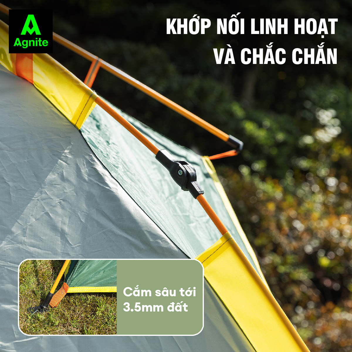 Lều cắm trại, picnic tự bung 4 cửa cao cấp Agnite dành cho 2-4 người - dễ dựng - tiện lợi - chống tia UV, chống thấmnước