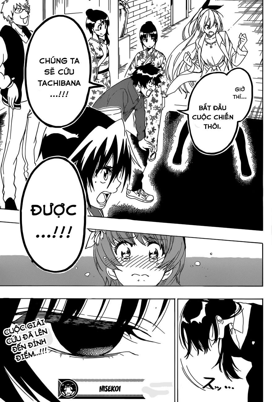 nisekoi - tình yêu giả tạo chapter 190 20